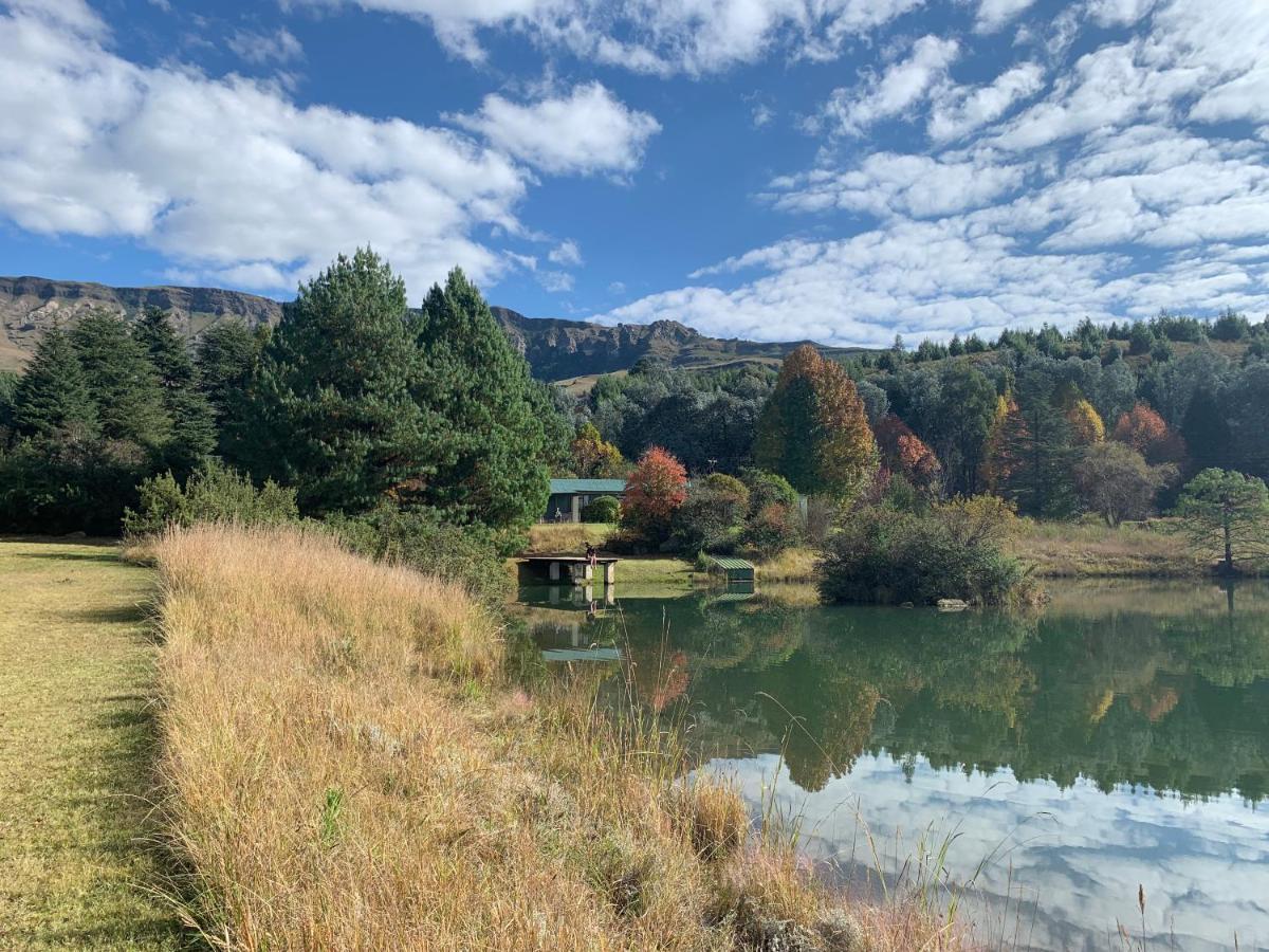 شقة Brackenburn Trout And Trail Retreat Elandskop المظهر الخارجي الصورة
