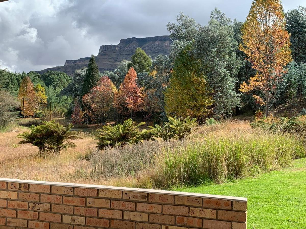 شقة Brackenburn Trout And Trail Retreat Elandskop المظهر الخارجي الصورة