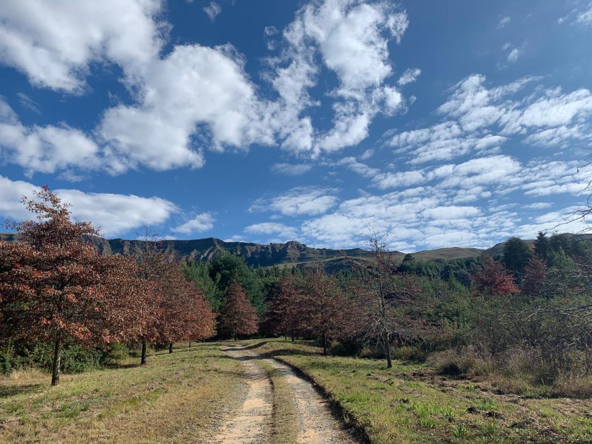 شقة Brackenburn Trout And Trail Retreat Elandskop المظهر الخارجي الصورة