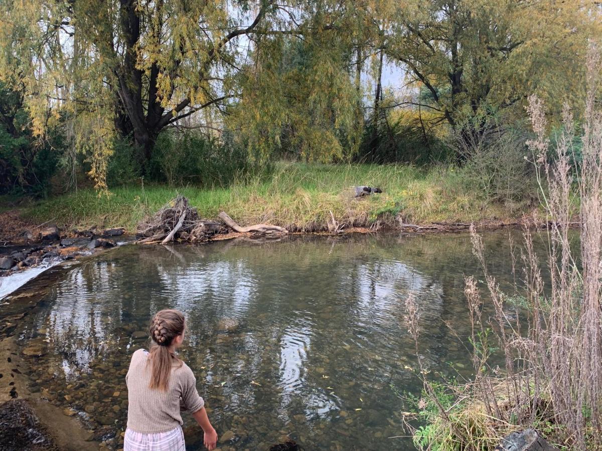 شقة Brackenburn Trout And Trail Retreat Elandskop المظهر الخارجي الصورة