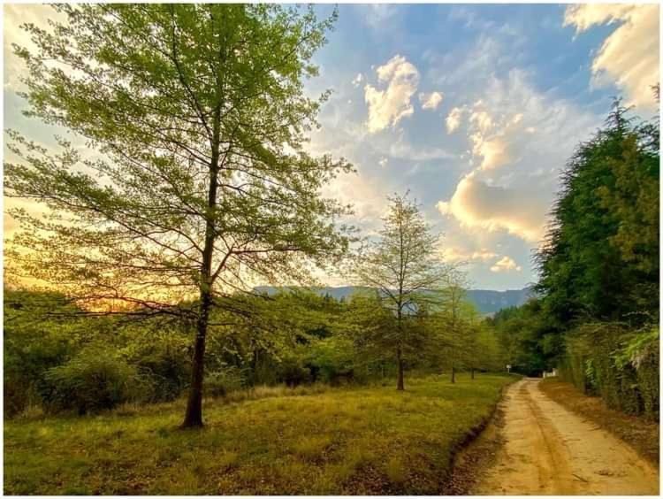 شقة Brackenburn Trout And Trail Retreat Elandskop المظهر الخارجي الصورة