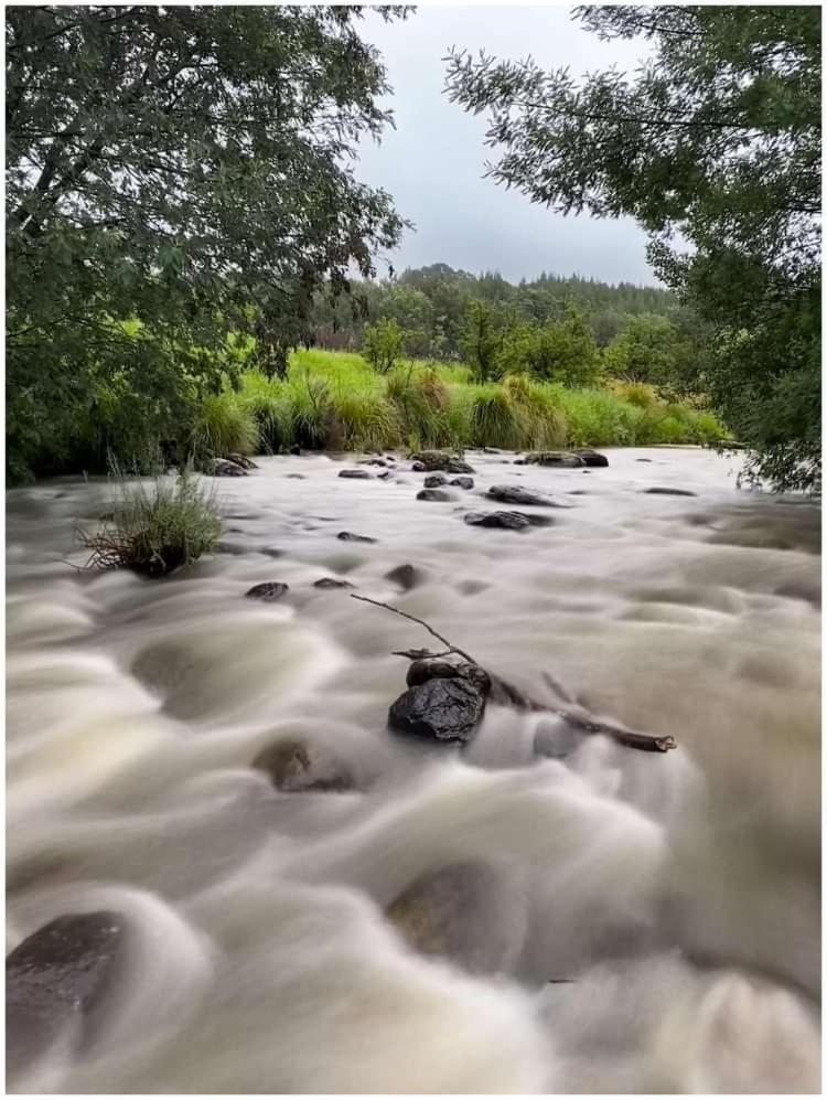 شقة Brackenburn Trout And Trail Retreat Elandskop المظهر الخارجي الصورة